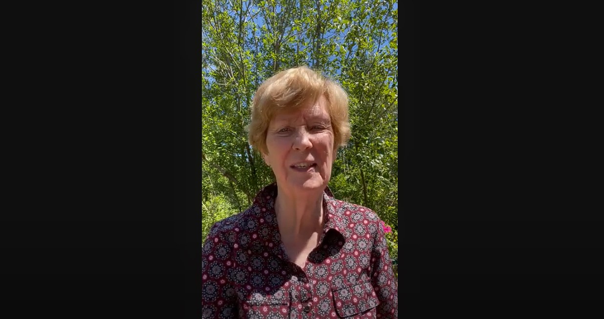 Video Messages from the SAF President-background